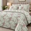Blush green bedsheet cootexa
