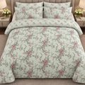 Blush green bedsheet cootexa