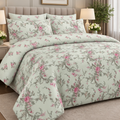 Blush green bedsheet cootexa